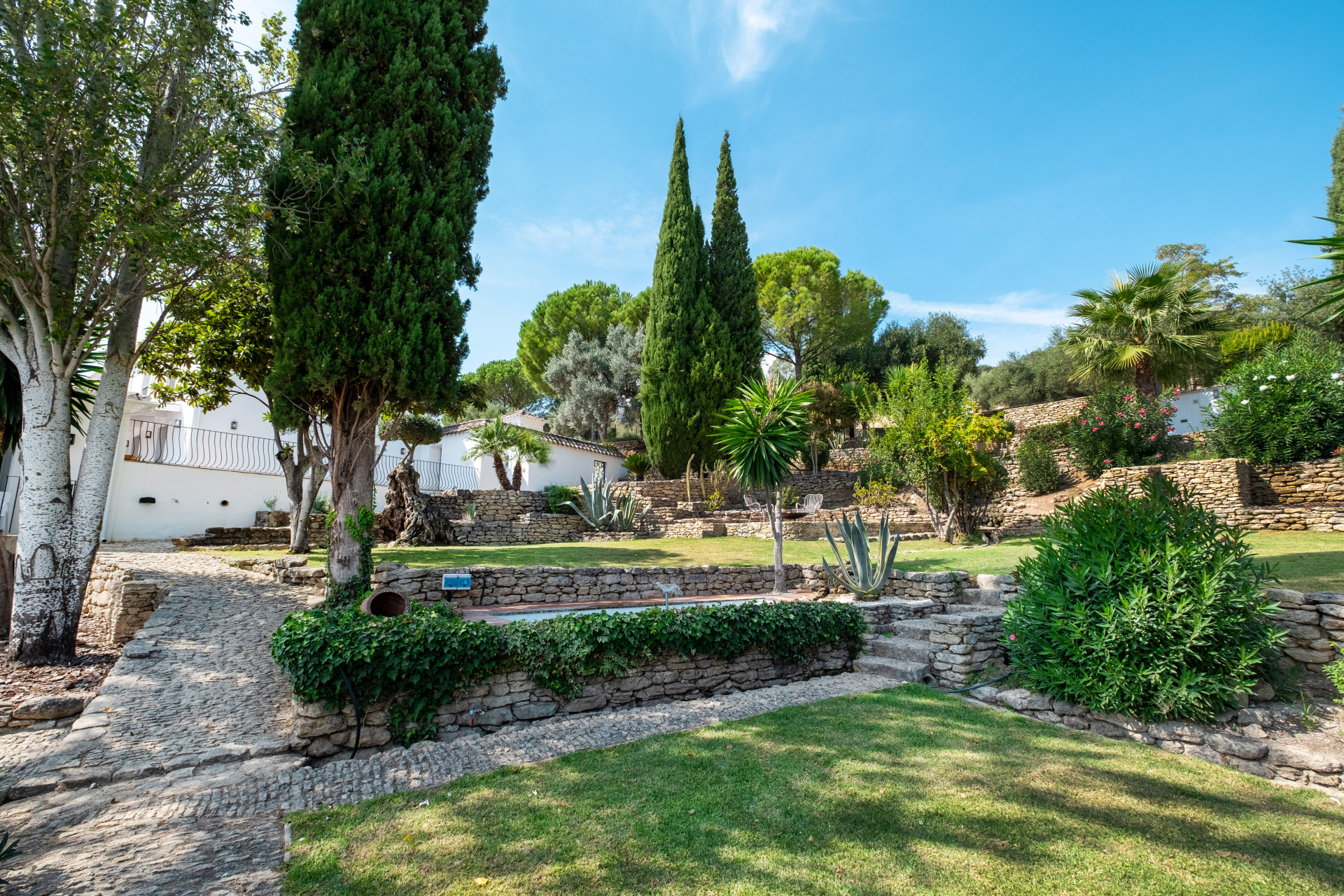 Luxury Villa · Photo 8