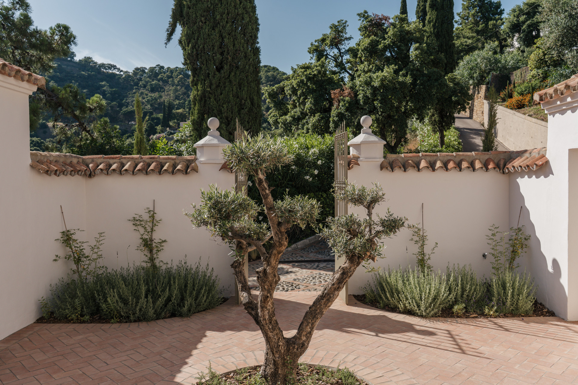Casa Inanda - El Madroñal · Photo 18
