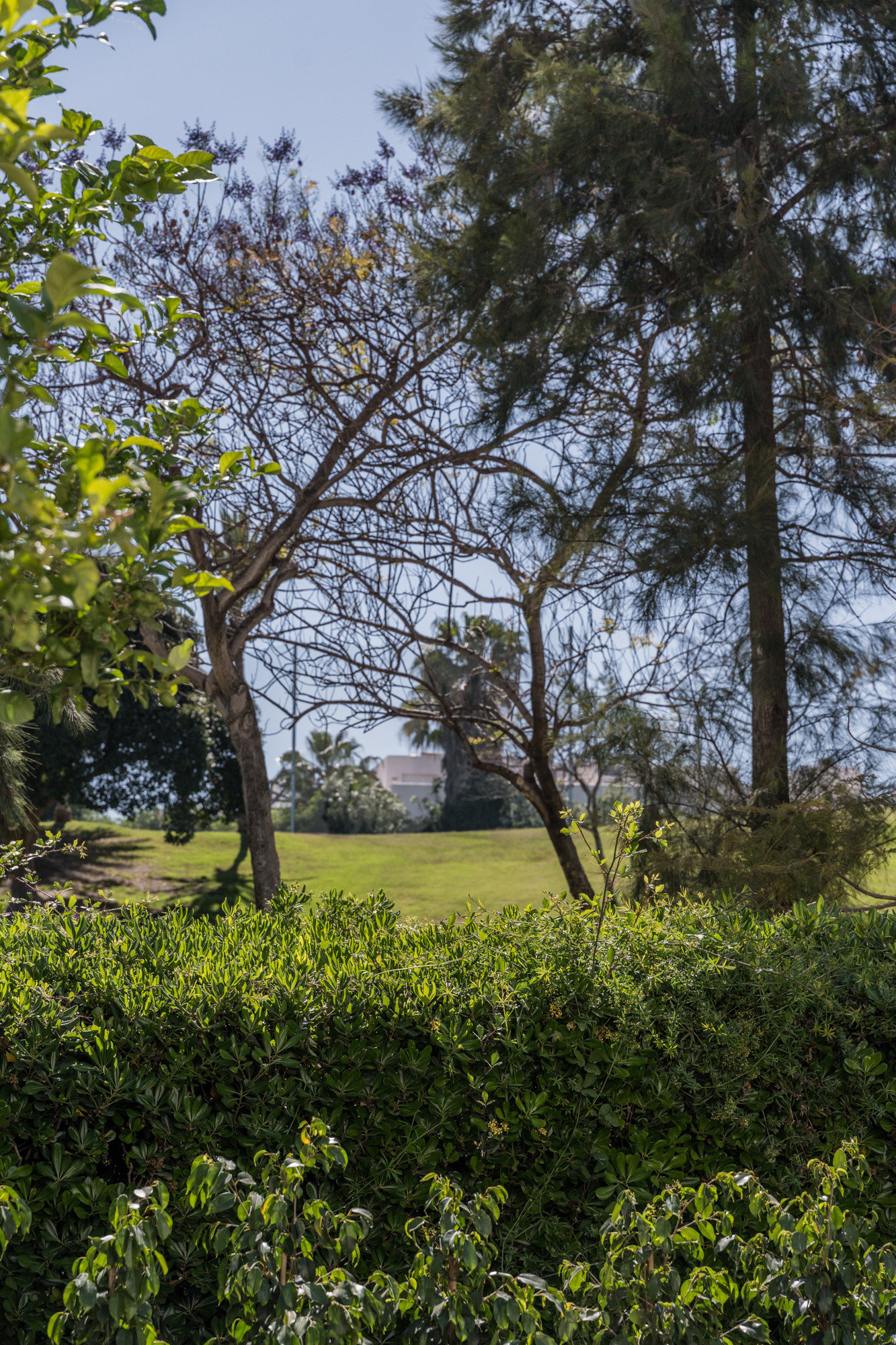 Zrekonstruovaný apartmán v přízemí s výhledem na golf v Terrazas de La Quinta · Fotografie 20