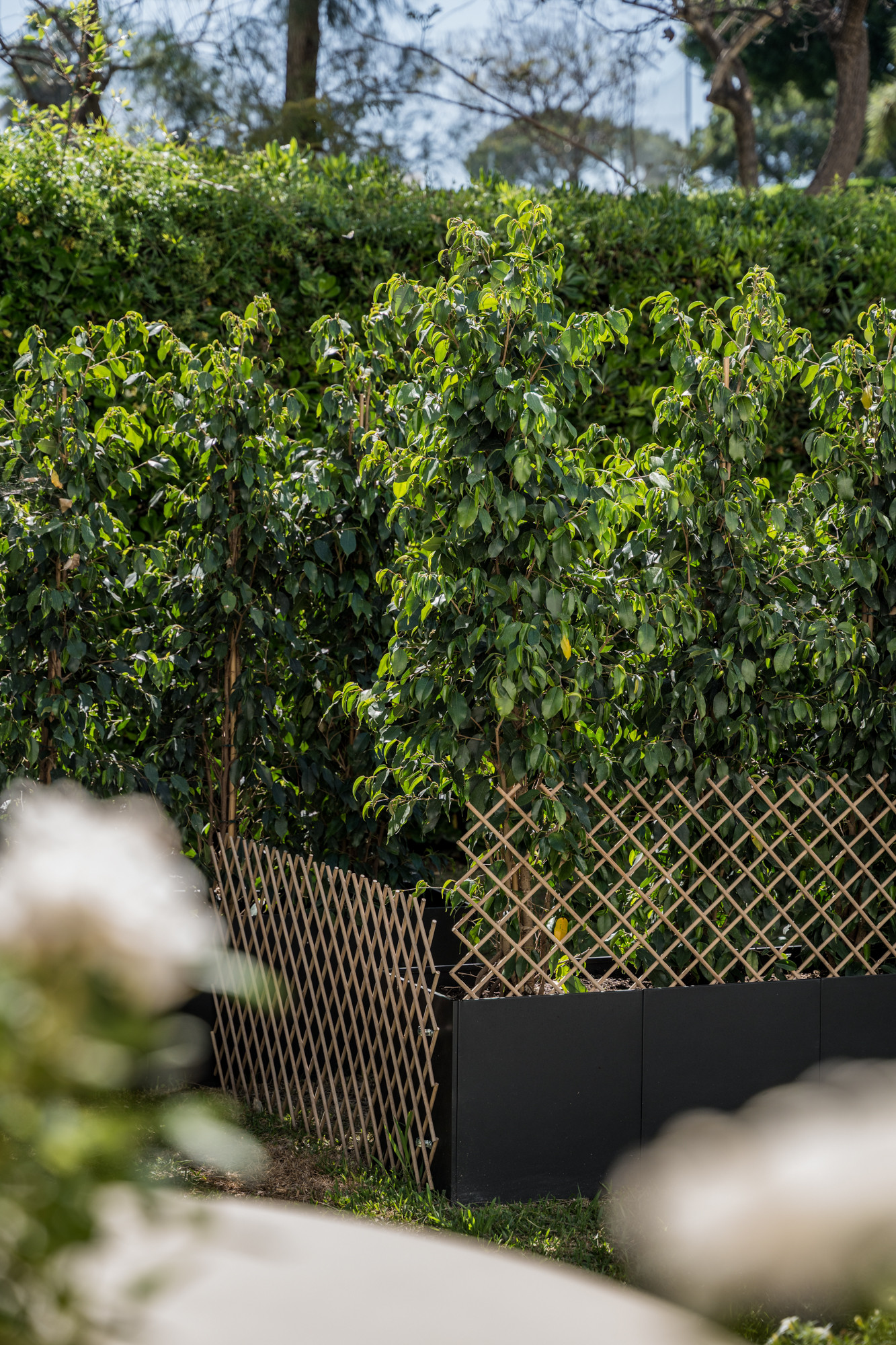 Zrekonstruovaný apartmán v přízemí s výhledem na golf v Terrazas de La Quinta · Fotografie 19