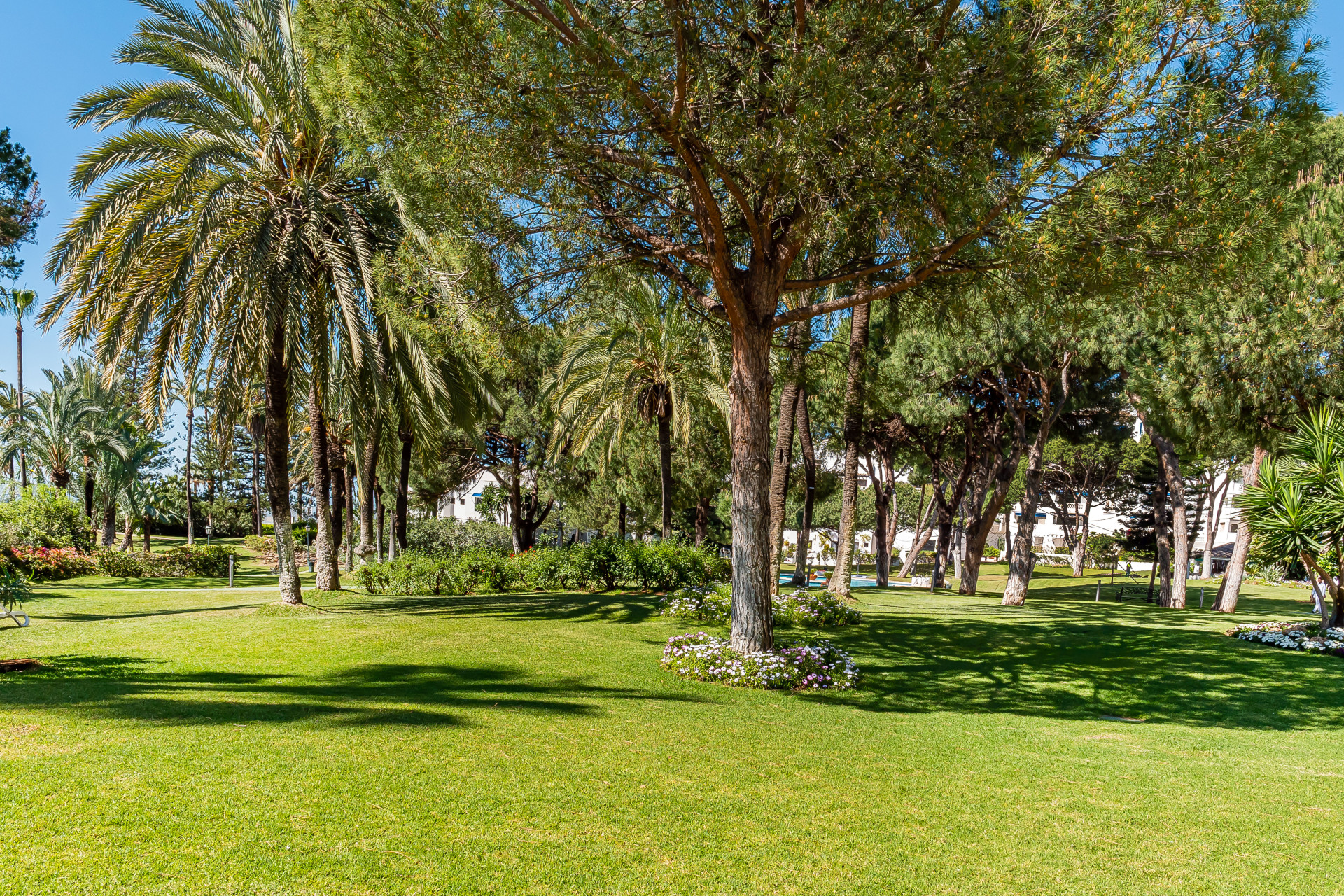 Fantastic apartment next to Puerto Banus · Photo 42