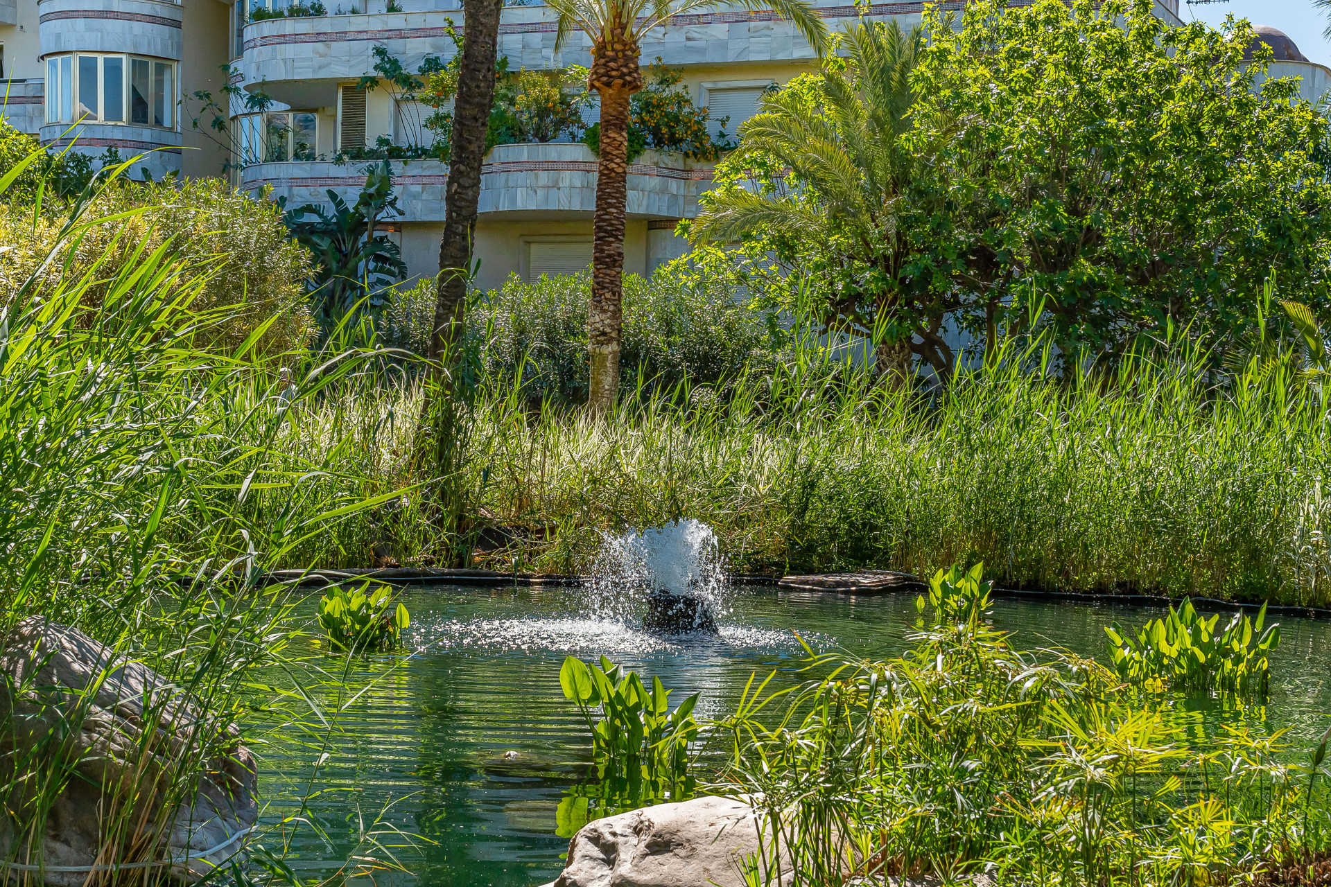 Fantastic apartment next to Puerto Banus · Photo 46