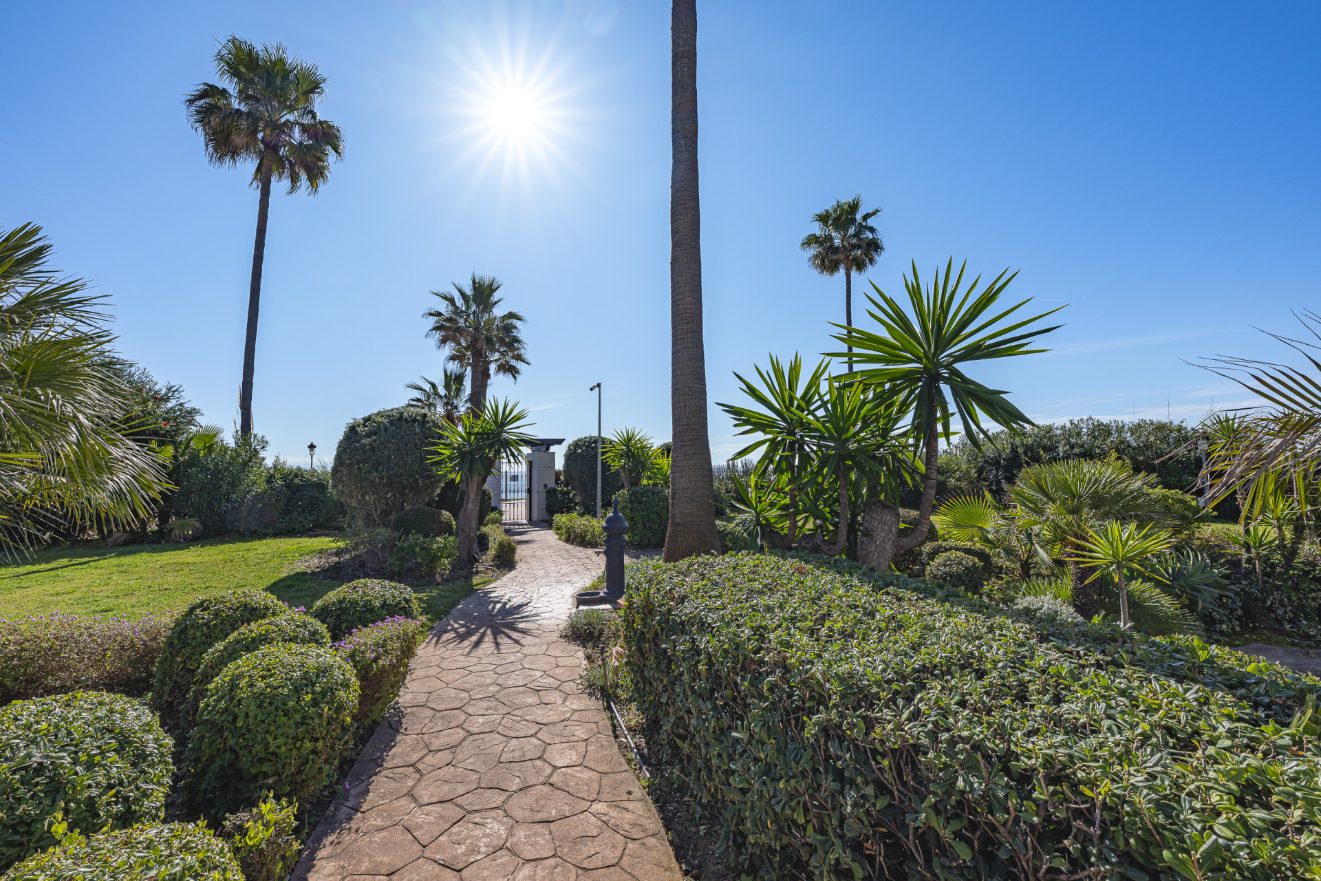 Elegant 3-Bedroom Beachside Apartment on the New Golden Mile · Photo 23