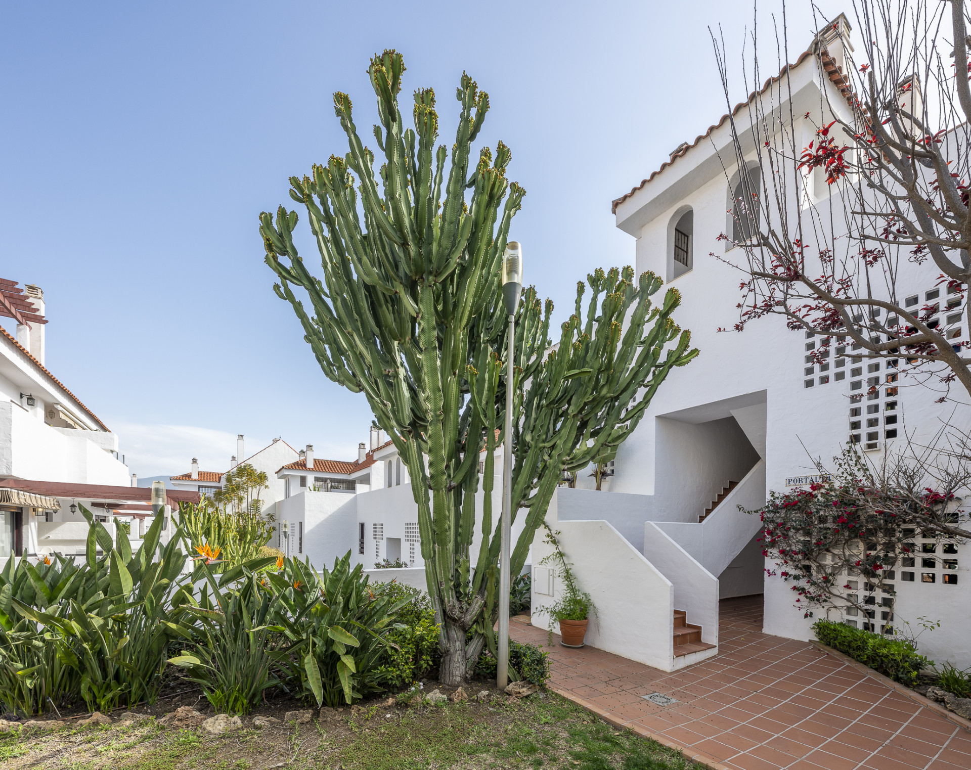 Beautifully renovated three-bedroom, east facing apartment, located in one of the most desirable complexes in Nueva Andalucia, La Maestranza. · Photo 11