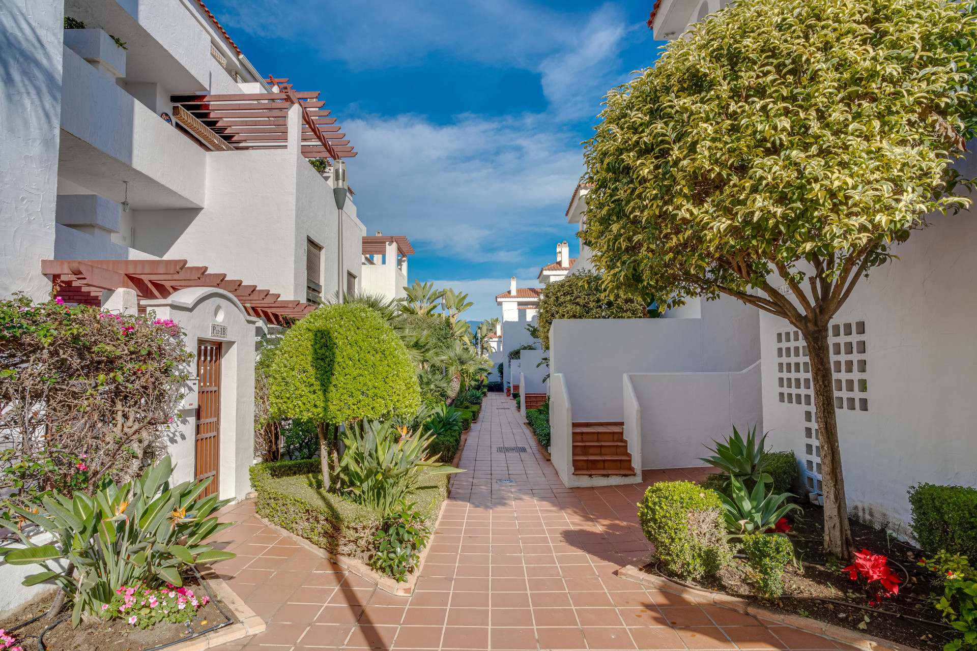 Beautifully renovated three-bedroom, east facing apartment, located in one of the most desirable complexes in Nueva Andalucia, La Maestranza. · Photo 15
