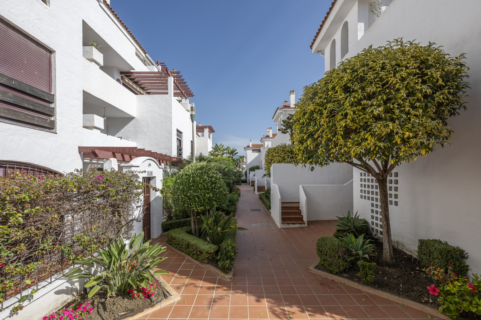 Beautifully renovated three-bedroom, east facing apartment, located in one of the most desirable complexes in Nueva Andalucia, La Maestranza. · Photo 42